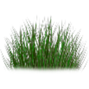 25% Bush